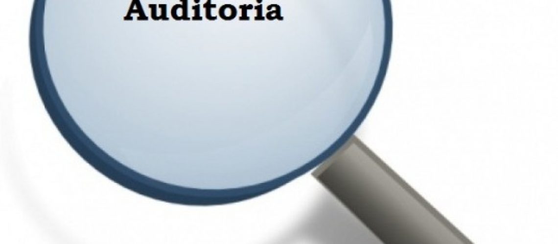 lupa_auditoria_reduzida